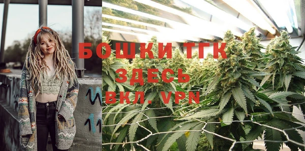 таблы Белокуриха